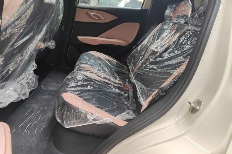 Used BYD Seagull 2025 Intelligent Driving Version 305 km Dynamic Edition Left Rear Seat