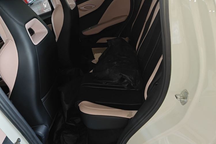 Used BYD Seagull 2025 Smart Drive Version 305 km Freedom Edition Left Rear Seat