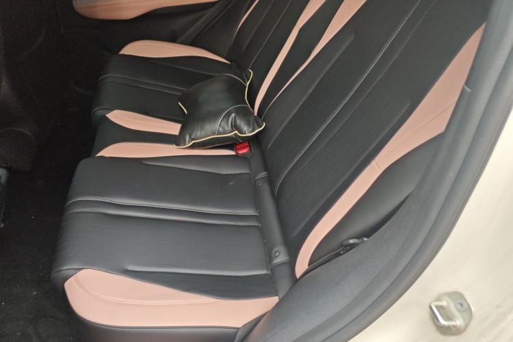 Used BYD Seagull 2025 405 km Flying Edition Left Rear Seat