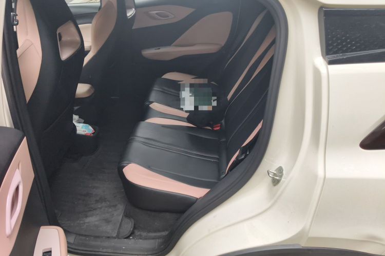 Used BYD Seagull 2025 305km Active Version Left Rear Seat
