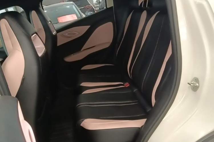 Used BYD Seagull 2025 405 km Flying Edition Left Rear Seat