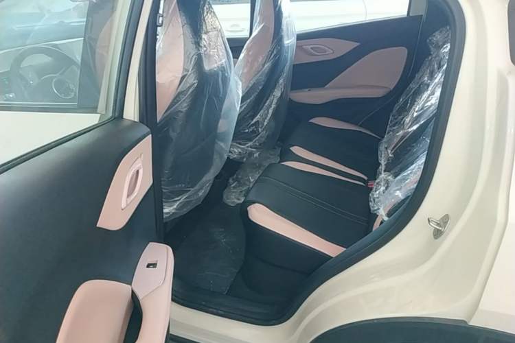 Used BYD Seagull 2025 Intelligent Driving Version 305 km Dynamic Edition Left Rear Seat