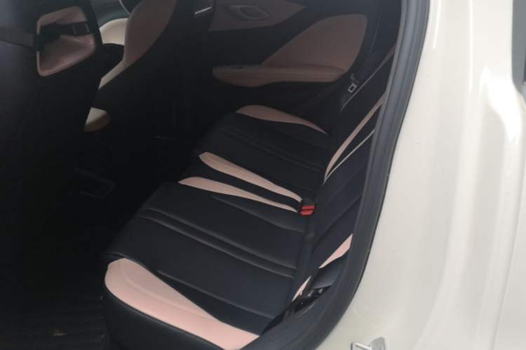 Used BYD Seagull 2025 305km Active Version Left Rear Seat