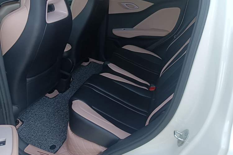 Used BYD Seagull 2025 Smart Drive Version 305 km Freedom Edition Left Rear Seat