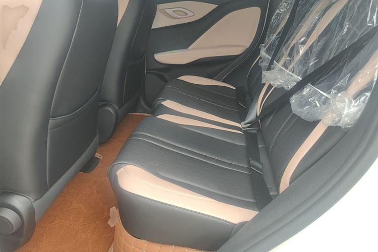 Used BYD Seagull 2025 Intelligent Driving Version 305 km Dynamic Edition Left Rear Seat