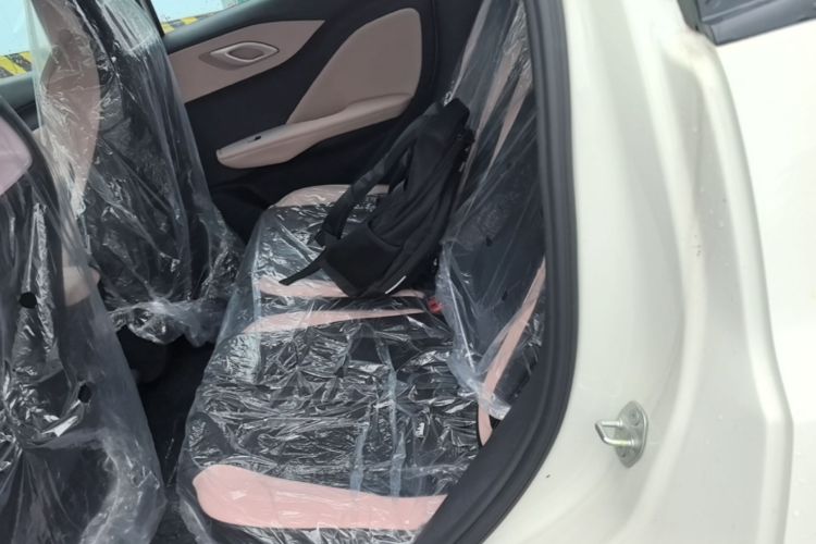 Used BYD Seagull 2025 Intelligent Driving Version 305 km Dynamic Edition Left Rear Seat