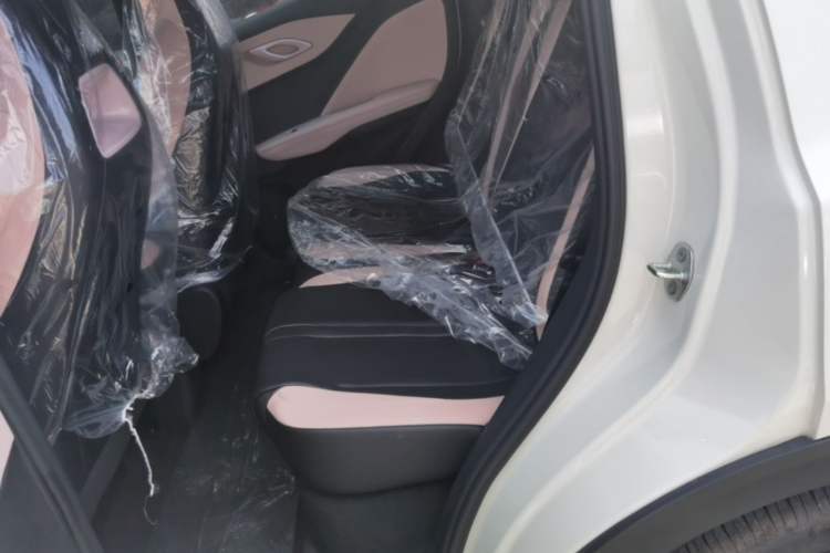 Used BYD Seagull 2025 Intelligent Driving Version 305 km Dynamic Edition Left Rear Seat