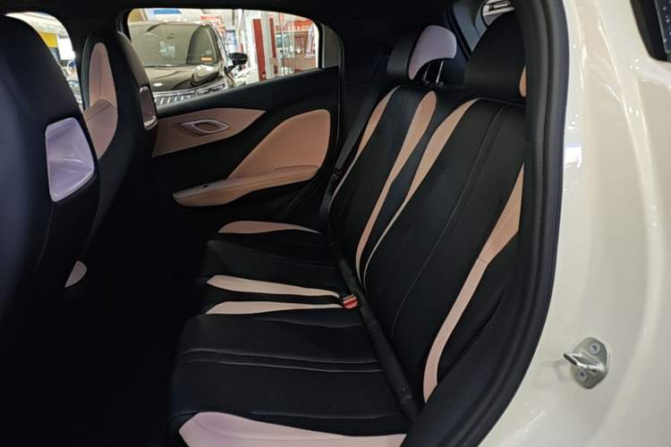 Used BYD Seagull 2025 Smart Drive Version 305 km Freedom Edition Left Rear Seat