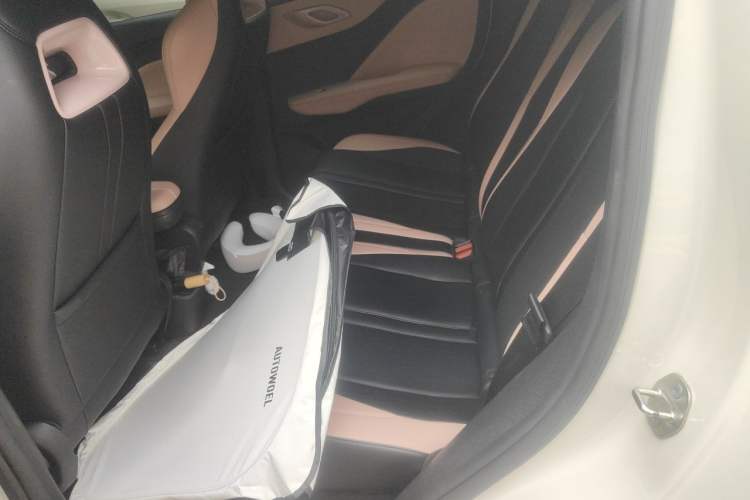 Used BYD Seagull 2025 305km Active Version Left Rear Seat