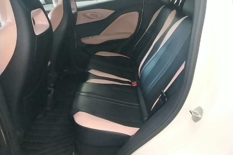 Used BYD Seagull 2025 305 km Free Version Left Rear Seat