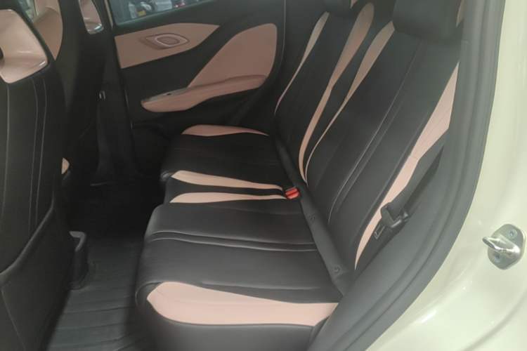 Used BYD Seagull 2025 305 km Free Version Left Rear Seat