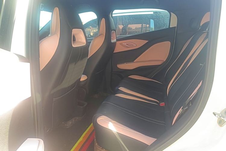Used BYD Seagull 2025 305 km Free Version Left Rear Seat