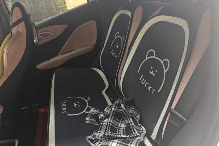 Used BYD Seagull 2025 305km Active Version Left Rear Seat