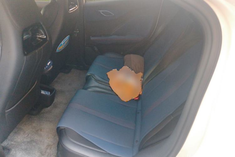 Used BYD Seagull 2025 405 km Flying Edition Left Rear Seat