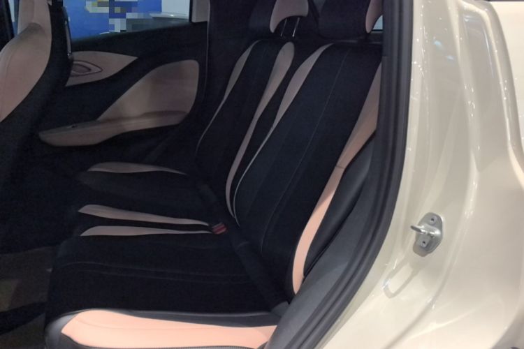 Used BYD Seagull 2025 305km Active Version Left Rear Seat
