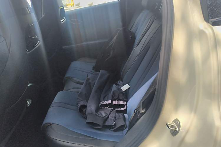 Used BYD Seagull 2025 Intelligent Driving Version 305 km Dynamic Edition Left Rear Seat
