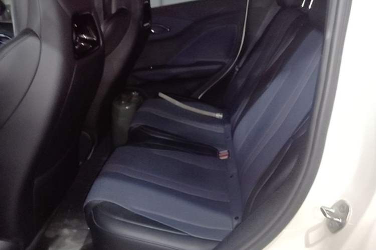 Used BYD Seagull 2025 Smart Drive Version 305 km Freedom Edition Left Rear Seat