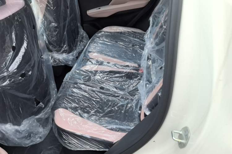 Used BYD Seagull 2025 Intelligent Driving Version 305 km Dynamic Edition Left Rear Seat