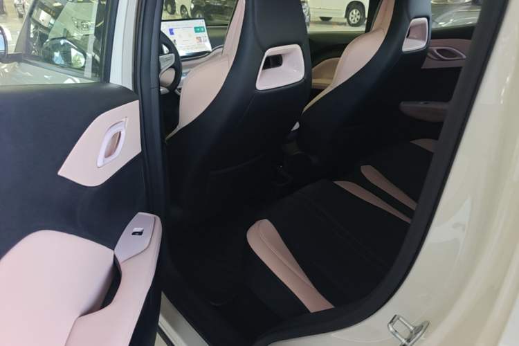 Used BYD Seagull 2025 Smart Drive Version 305 km Freedom Edition Left Rear Seat