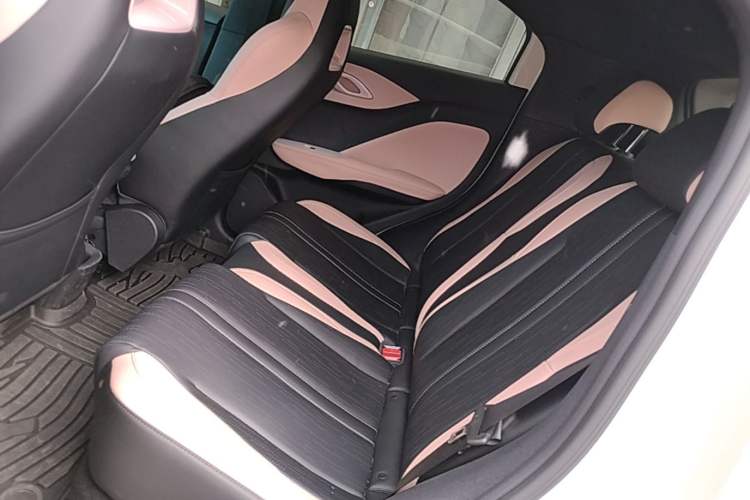 Used BYD Seagull 2025 Smart Drive Version 305 km Freedom Edition Left Rear Seat
