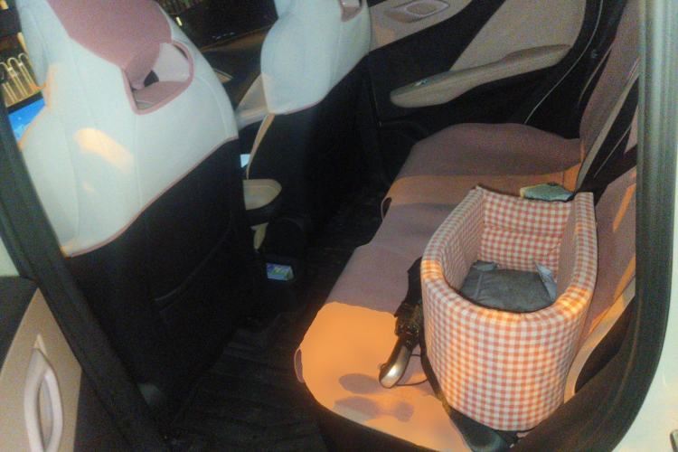 Used BYD Seagull 2025 305 km Free Version Left Rear Seat