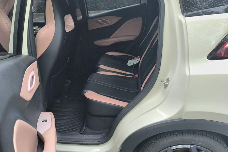 Used BYD Seagull 2025 305 km Free Version Left Rear Seat