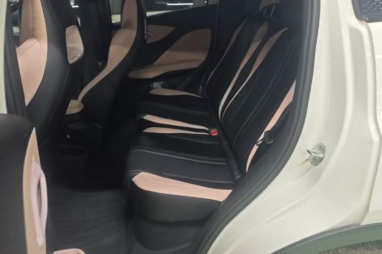 Used BYD Seagull 2025 305km Active Version Left Rear Seat
