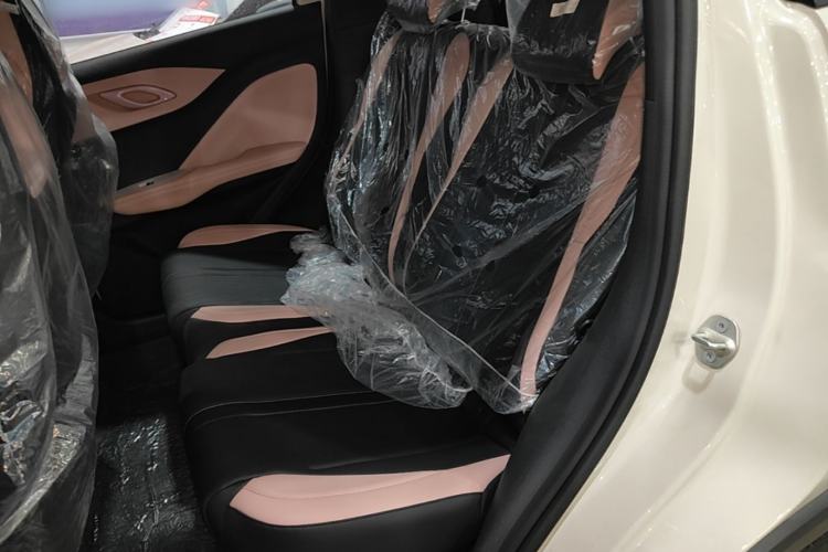 Used BYD Seagull 2025 Intelligent Driving Version 305 km Dynamic Edition Left Rear Seat