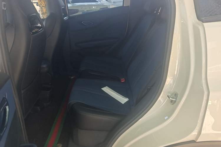 Used BYD Seagull 2025 Smart Drive Version 305 km Freedom Edition Left Rear Seat