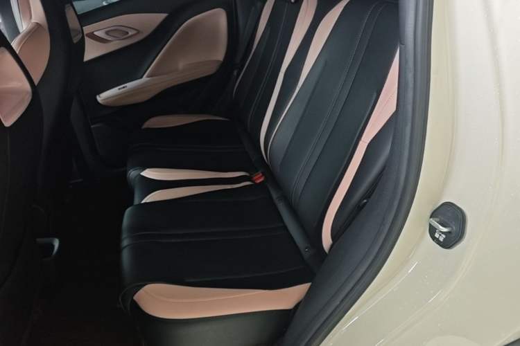 Used BYD Seagull 2025 Smart Drive Version 305 km Freedom Edition Left Rear Seat