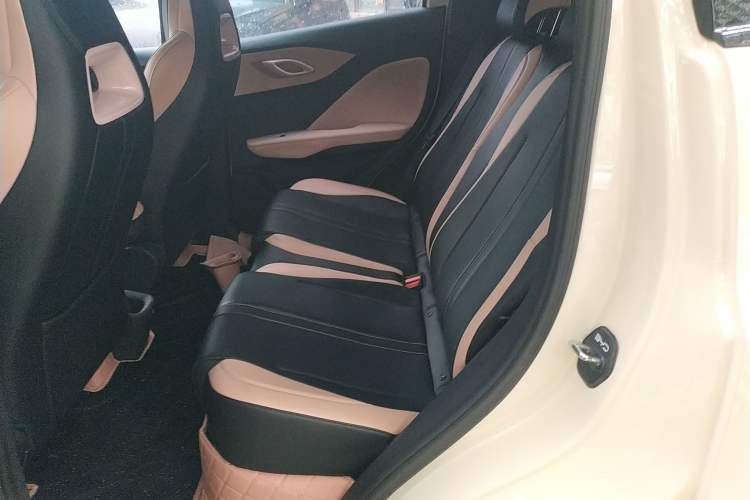 Used BYD Seagull 2025 305 km Free Version Left Rear Seat