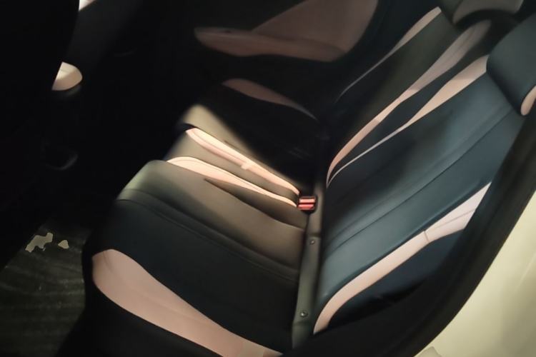 Used BYD Seagull 2025 Smart Drive Version 305 km Freedom Edition Left Rear Seat