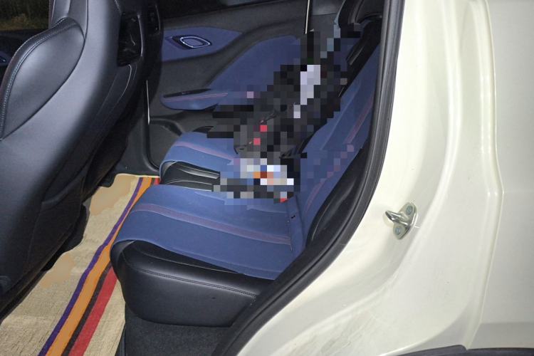 Used BYD Seagull 2025 305 km Free Version Left Rear Seat