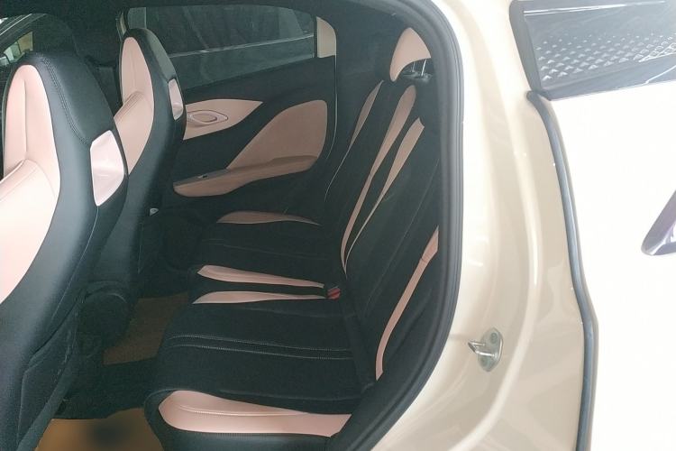 Used BYD Seagull 2025 Intelligent Driving Version 305 km Dynamic Edition Left Rear Seat