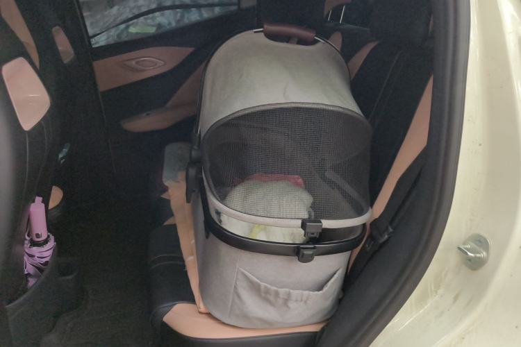 Used BYD Seagull 2025 305 km Free Version Left Rear Seat