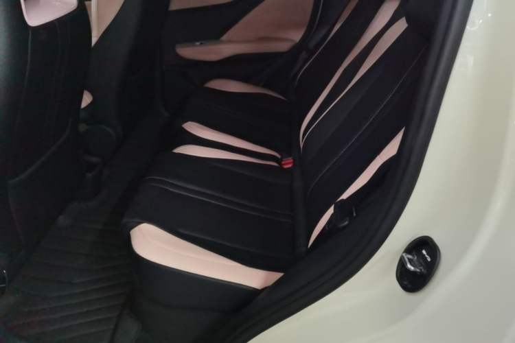 Used BYD Seagull 2025 305 km Free Version Left Rear Seat