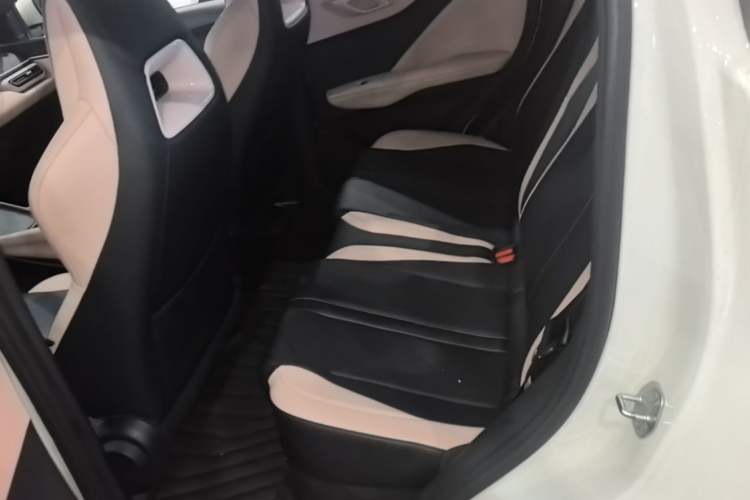 Used BYD Seagull 2025 305km Active Version Left Rear Seat