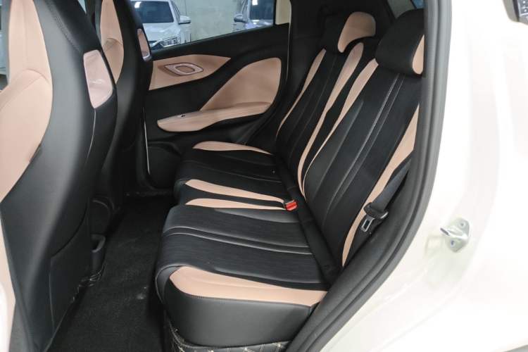 Used BYD Seagull 2025 Model Smart Drive Version 405km Free-Spirited Version Left Rear Seat