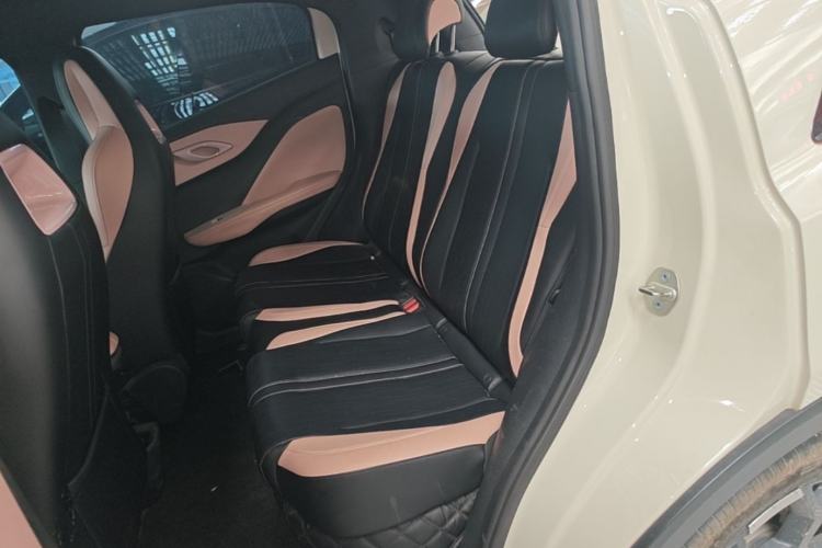 Used BYD Seagull 2025 305 km Free Version Left Rear Seat