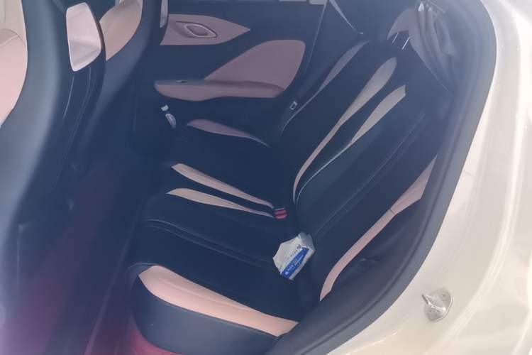 Used BYD Seagull 2025 405 km Flying Edition Left Rear Seat
