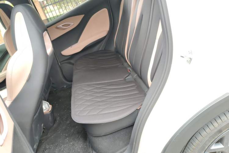 Used BYD Seagull 2025 Model Smart Drive Version 405km Free-Spirited Version Left Rear Seat