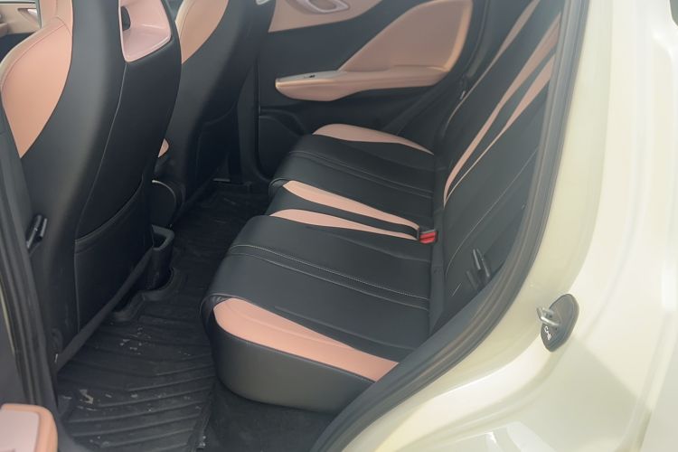 Used BYD Seagull 2025 Smart Drive Version 305 km Freedom Edition Left Rear Seat