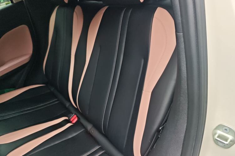 Used BYD Seagull 2025 Intelligent Driving Version 405 km Flying Edition Left Rear Seat