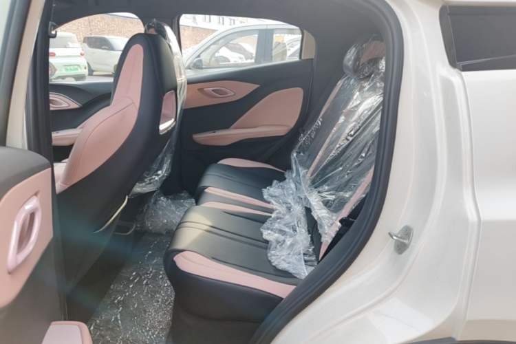 Used BYD Seagull 2025 305 km Free Version Left Rear Seat