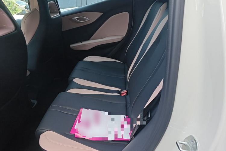 Used BYD Seagull 2025 Model Smart Drive Version 405km Free-Spirited Version Left Rear Seat