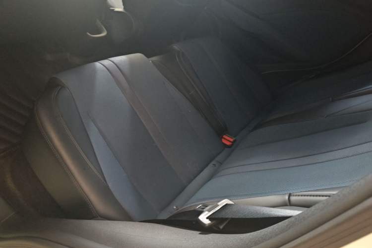 Used BYD Seagull 2025 305 km Free Version Left Rear Seat