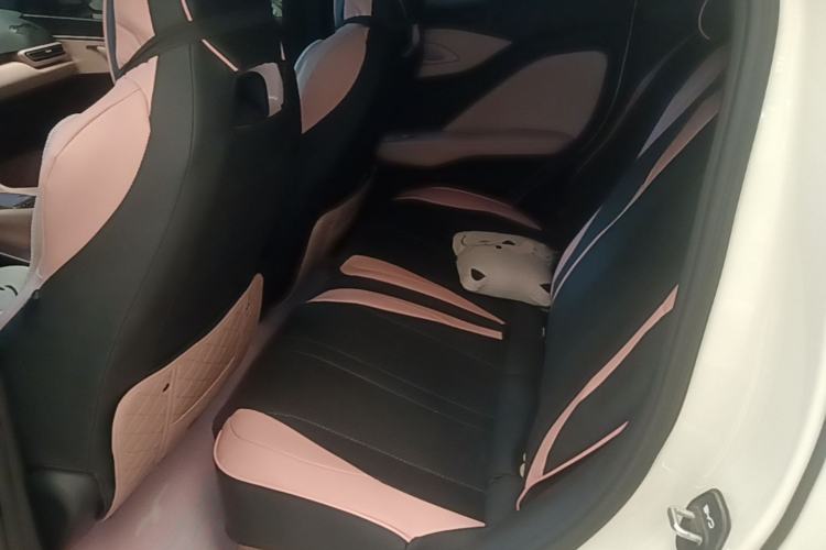 Used BYD Seagull 2025 Smart Drive Version 305 km Freedom Edition Left Rear Seat