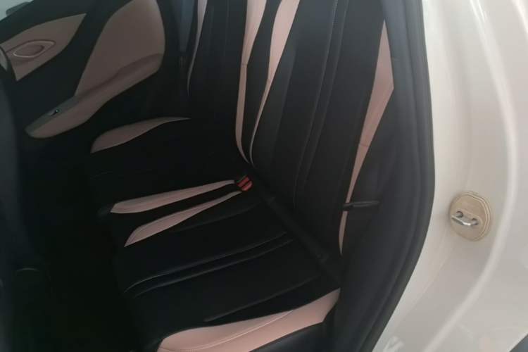 Used BYD Seagull 2025 Smart Drive Version 305 km Freedom Edition Left Rear Seat