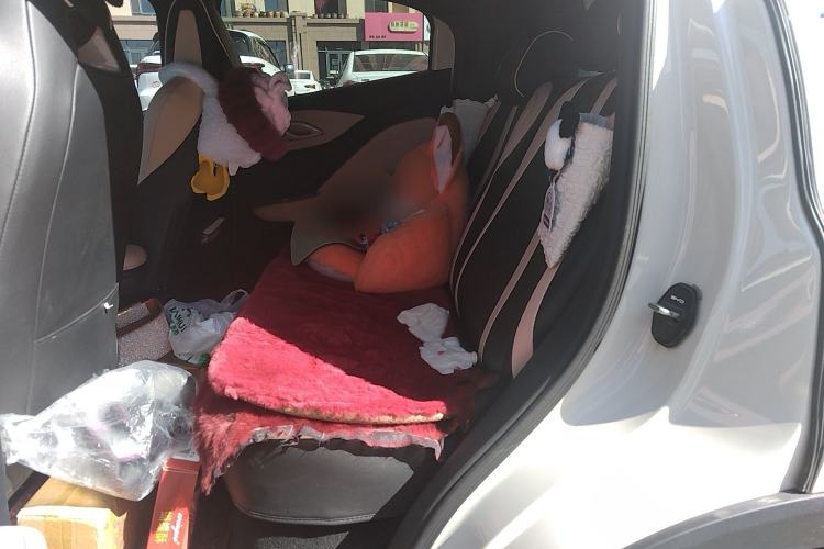 Used BYD Seagull 2025 305 km Free Version Left Rear Seat