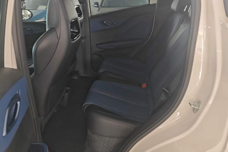 Used BYD Seagull 2025 Intelligent Driving Version 305 km Dynamic Edition Left Rear Seat